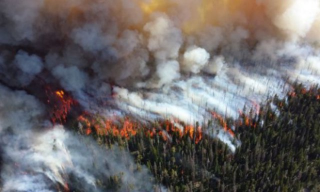 adler_fire_yellowstone_nps560x337