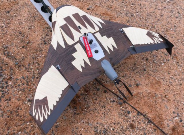 Rick Steven's team has tried using camouflage on the UAV to protect it from eagles. Credit : Rick Steven