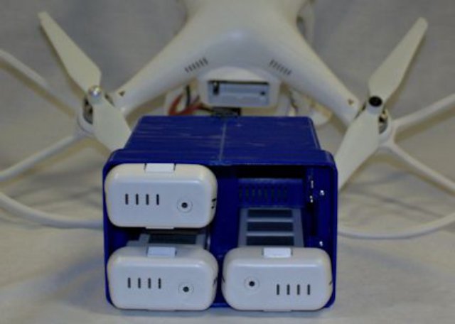 P2QC Blue No Lid 3B Bird_10