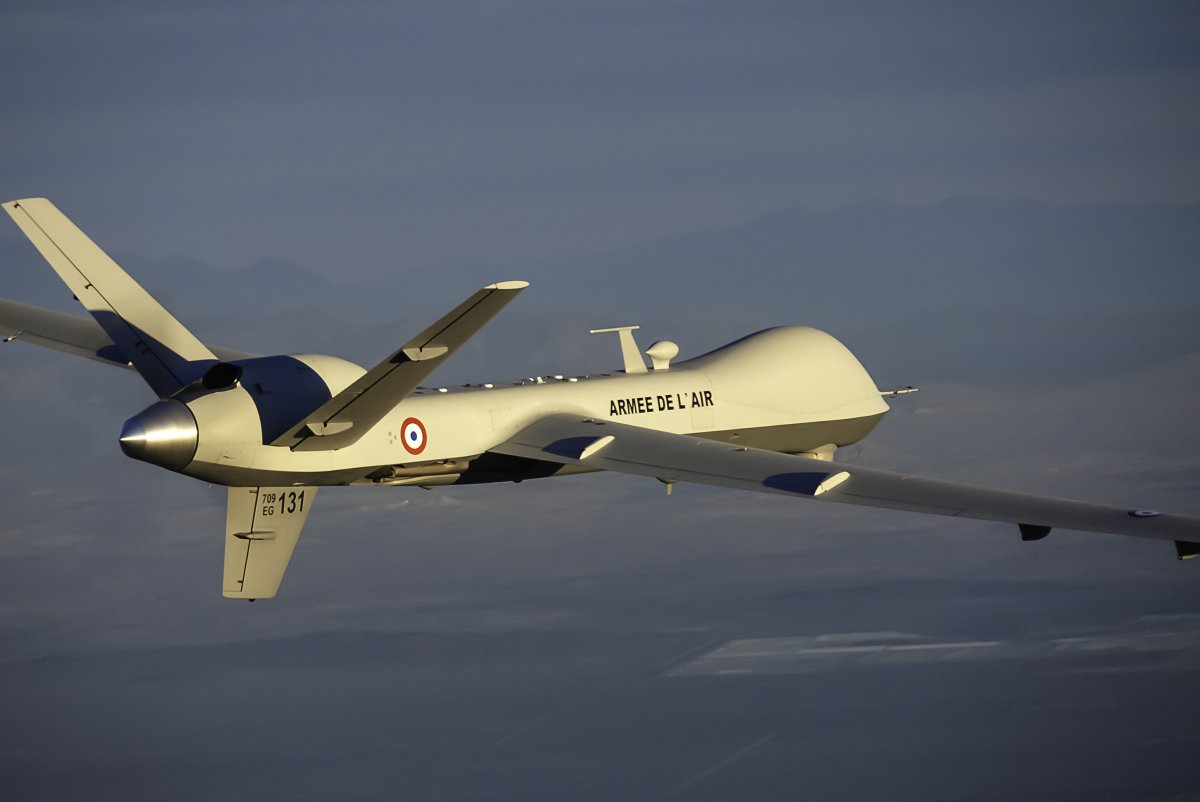 Pred-B_French_Gray Butte_2013_197