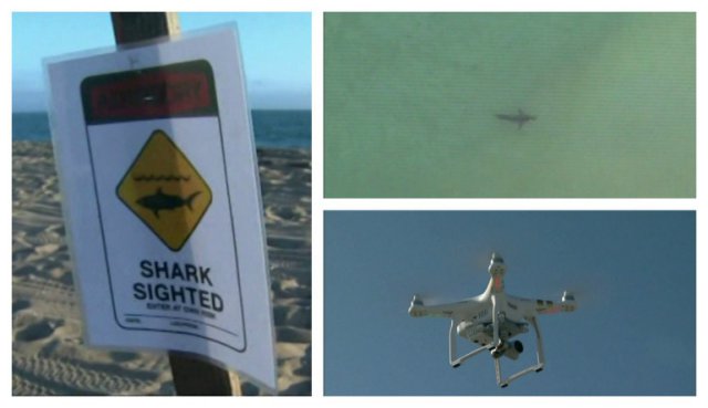 shark-drones