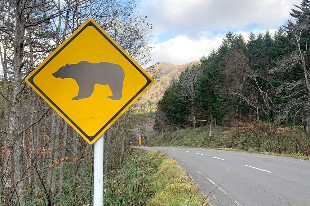 Hokkaido City Deploys Drones for Bear Management