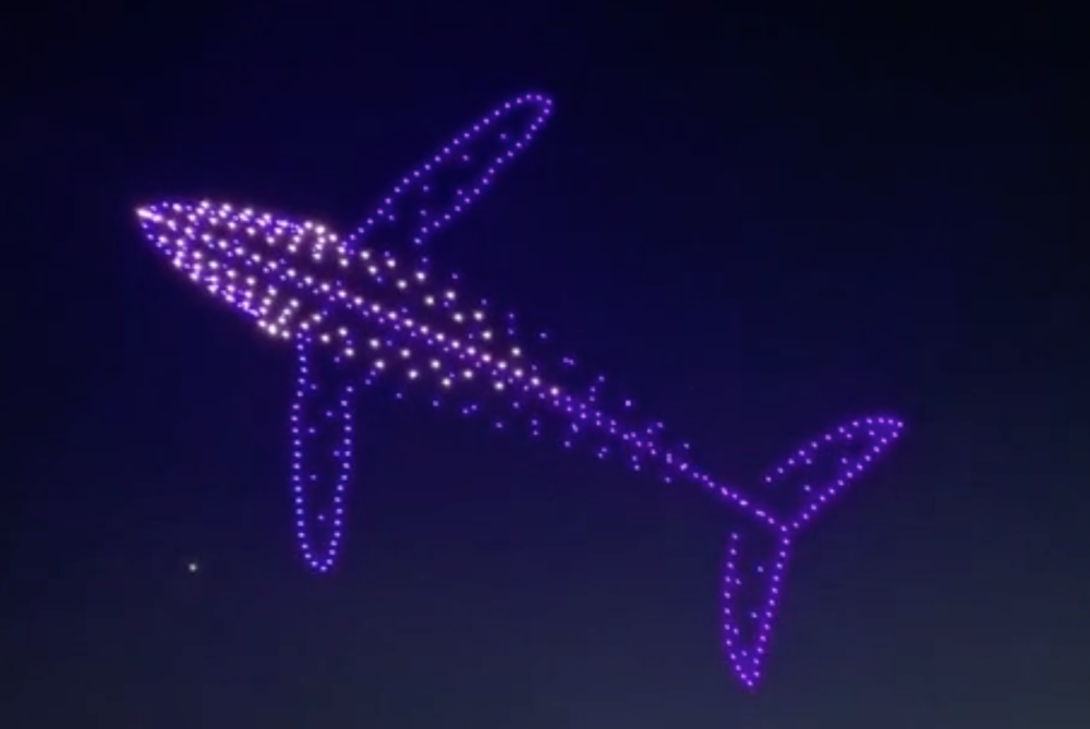 1,000 Drone Light Show at Coronation Concert Rehearsed at Secret Location