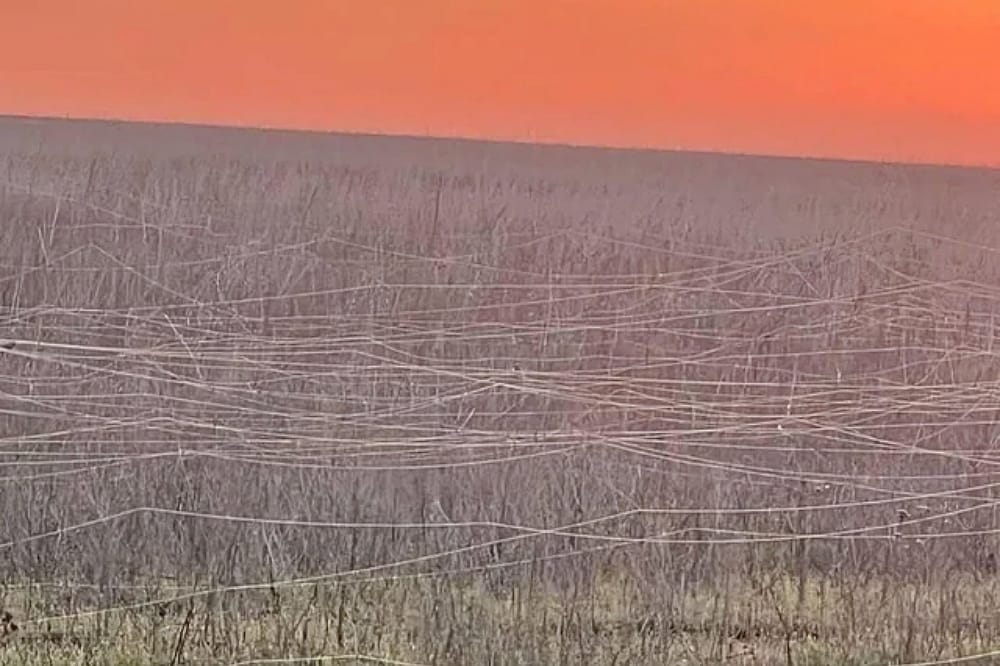 Ukrainian War Zone Field Covered with Fiber Optic Cables