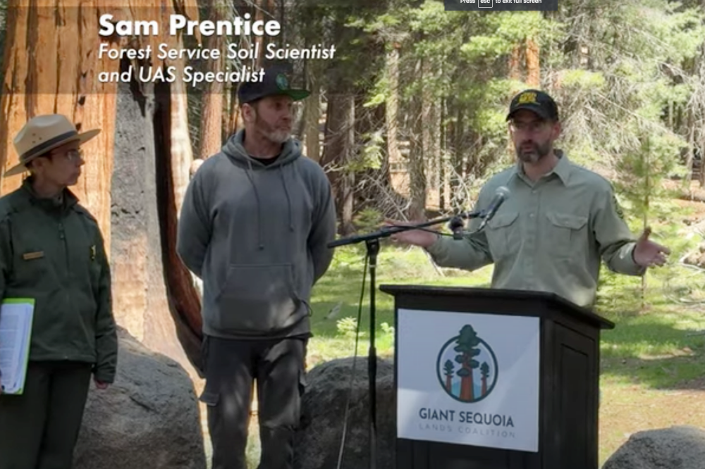 Drone Inspects World's Largest Tree