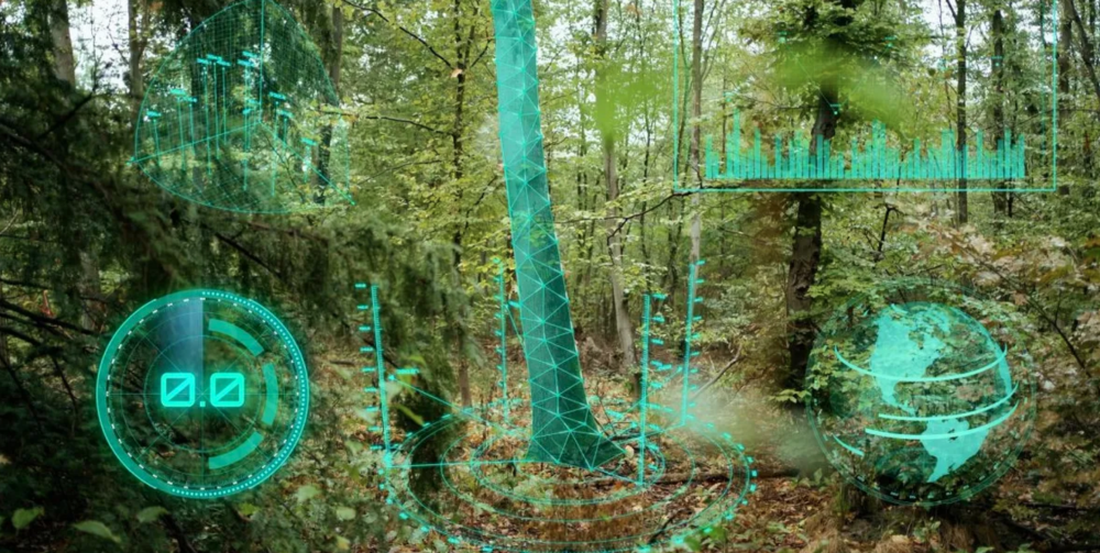 Quantum-Systems & Partners Launch AI-based Forest Monitoring Project