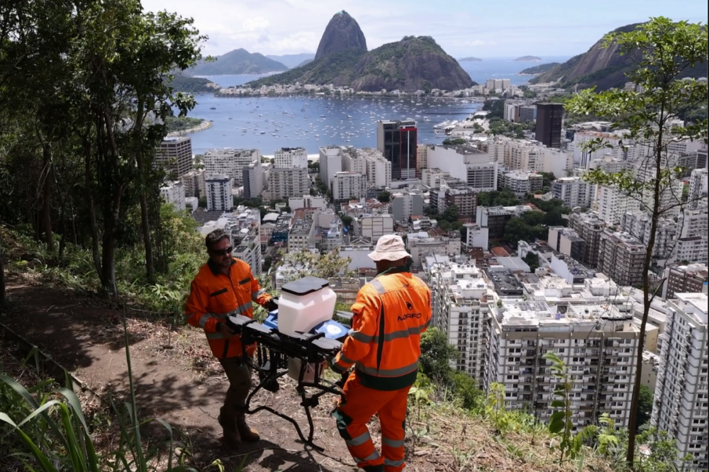 Rio de Janeiro Uses Drones for Efficient Reforestation Efforts