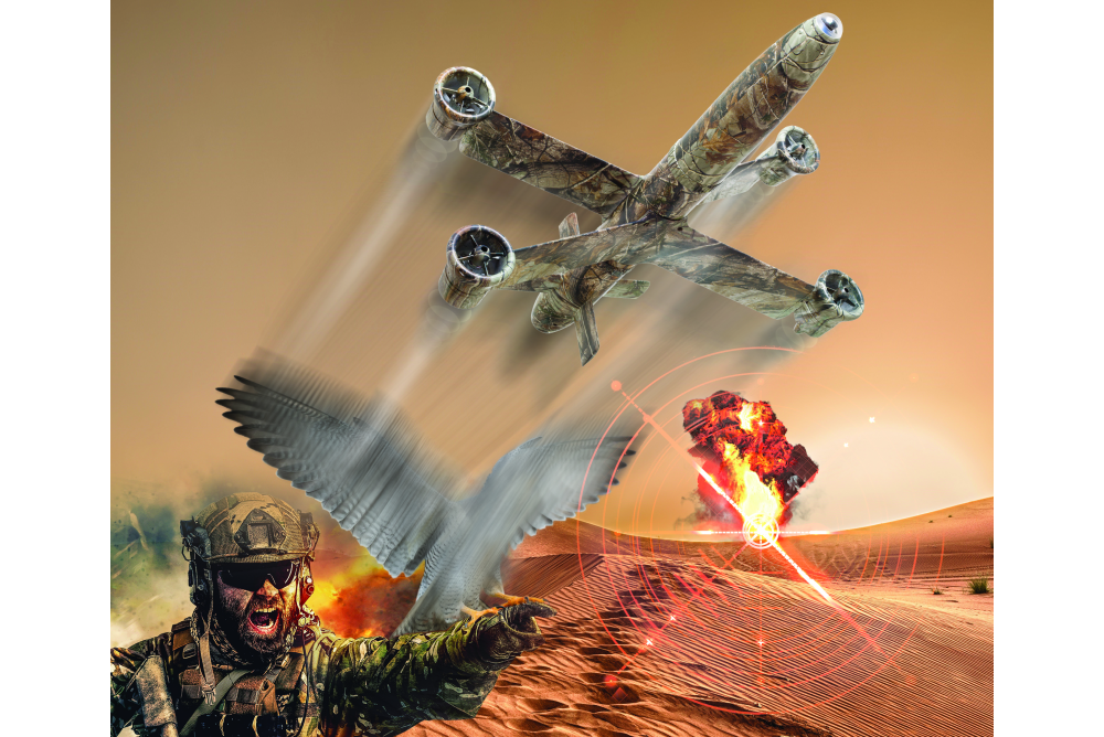 IAI to Develop and Deliver Hand-Launched Electro-Optical Guided Missile for US