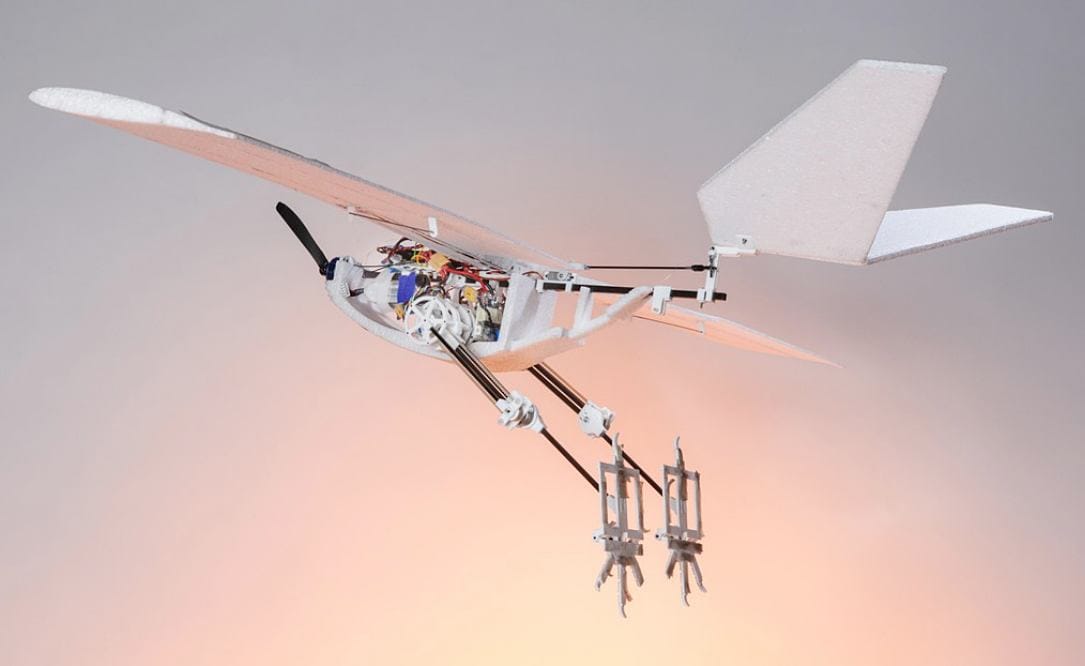 Bird-Inspired Drone Can Jump for Take-Off