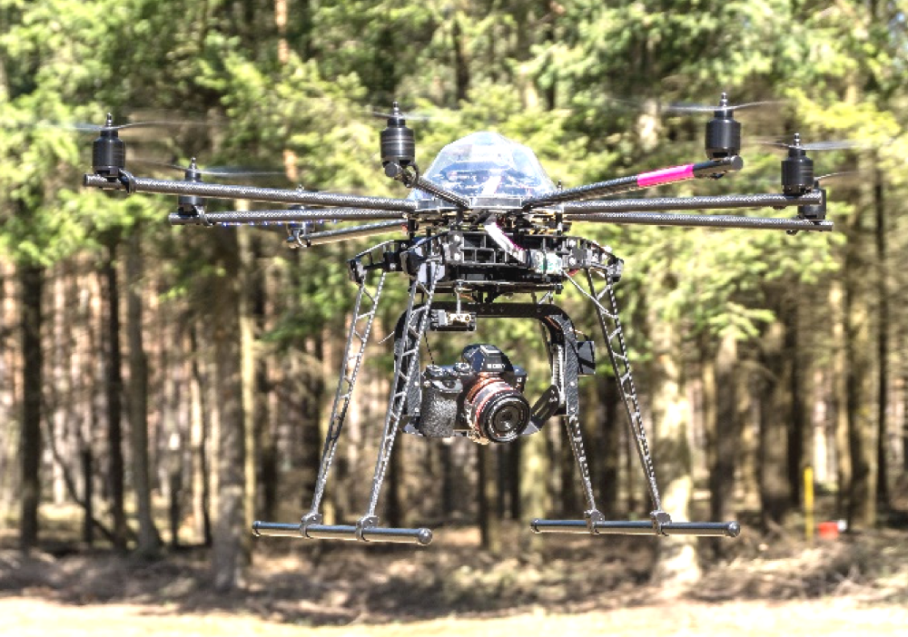 UAV-Based Remote Sensing in Orcha-Forest Environment