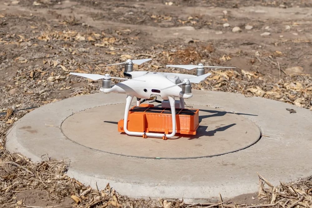 South African Vineyard Drops Predatory Wasps from Drones to Keep Grapes Free from Bugs