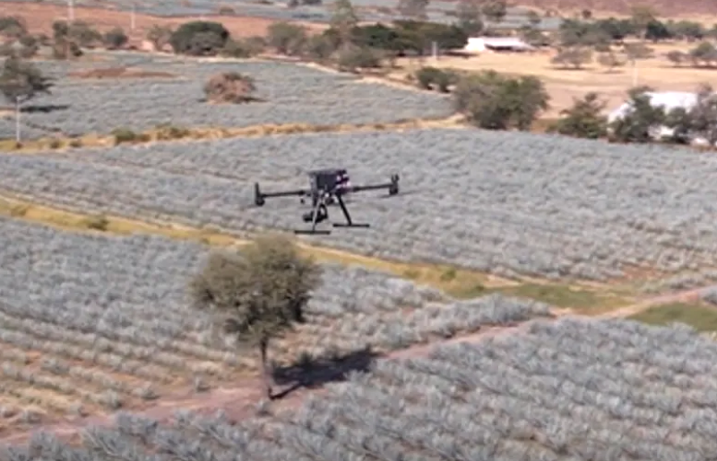 Diageo Drones Improve Efficiency of Tequila Farming in Mexico