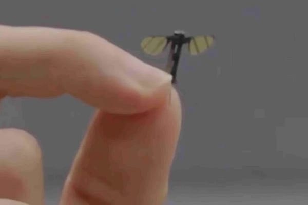 Chinese Military Robotics Lab Creates Mosquito-Sized Microdrone for Covert Operations