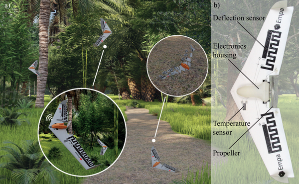 High-Performance Biopolymer Cryogels for Transient Sensing Ecology-Drones