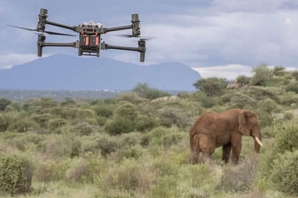 Drones are a Valuable Ally in Elephant Conservation