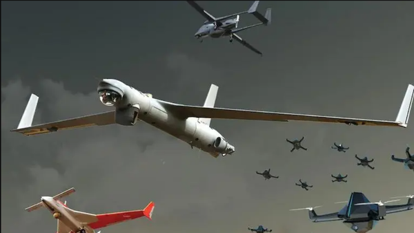 Indian Army to Get Fully Operational Swarm Drone System