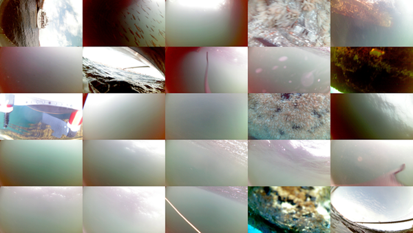 Canada's Independent Robotics Wins NATO Hackathon