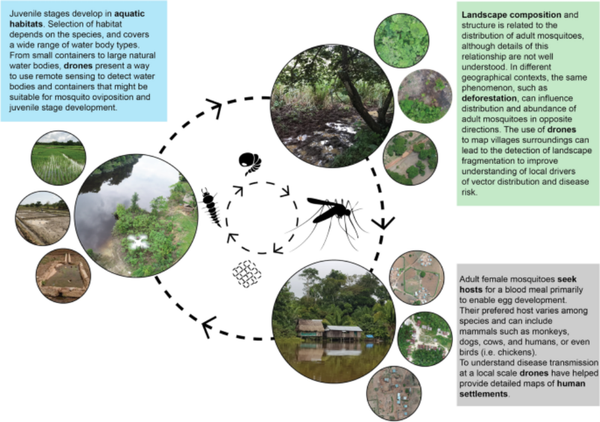 Use of Drones for Mosquito Surveillance and Control