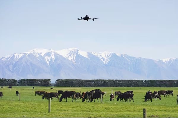 Animal-Counting Drones Help Farmers Speed Up Stocktake