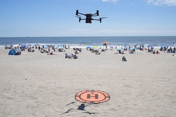 Angry Birds Attack Drones Patrolling New York City Beach