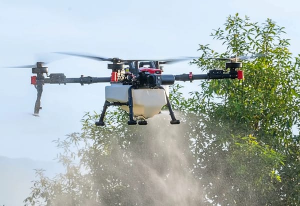 Rantizo Inc. Rebrands as American Autonomy Inc.