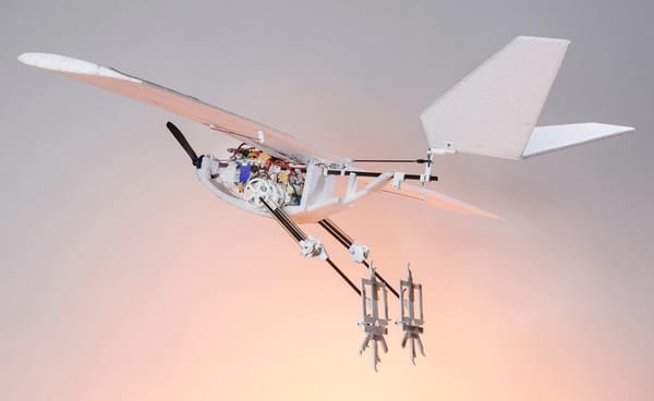 Bird-Inspired Drone Can Jump for Take-Off