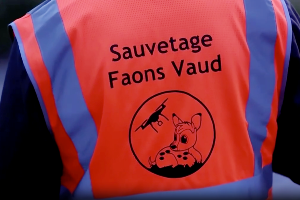 Volunteers in Switzerland use Drones to Save Fawns from Agricultural Machinery