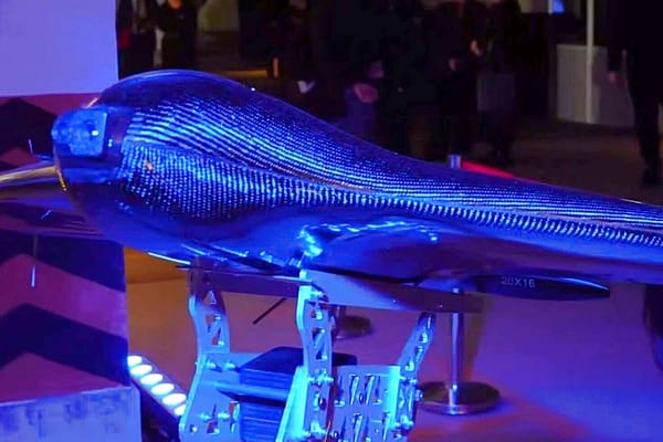 Ukraine's Shahed Interceptor