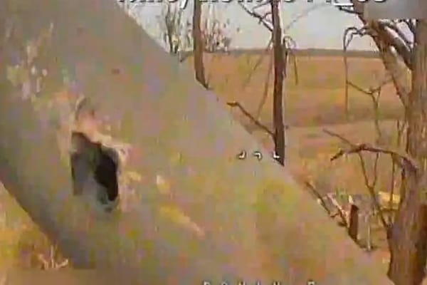 Spiking the Guns: Precision Drone Strikes Destroy Russian Artillery