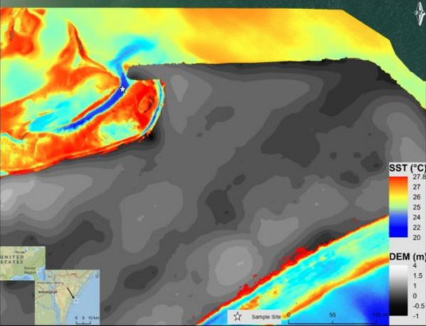 Mapping Submarine Groundwater Discharge with Thermal Infrared Imaging