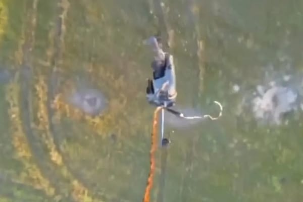 Ukrainian Drones Retrieve Fallen Drones and Trophies from Battlefield